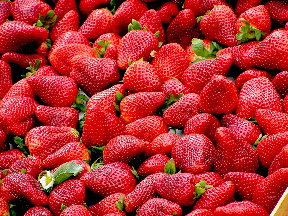 大湖草莓